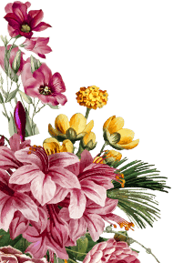 Botanical decoration