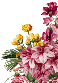 Card decoration